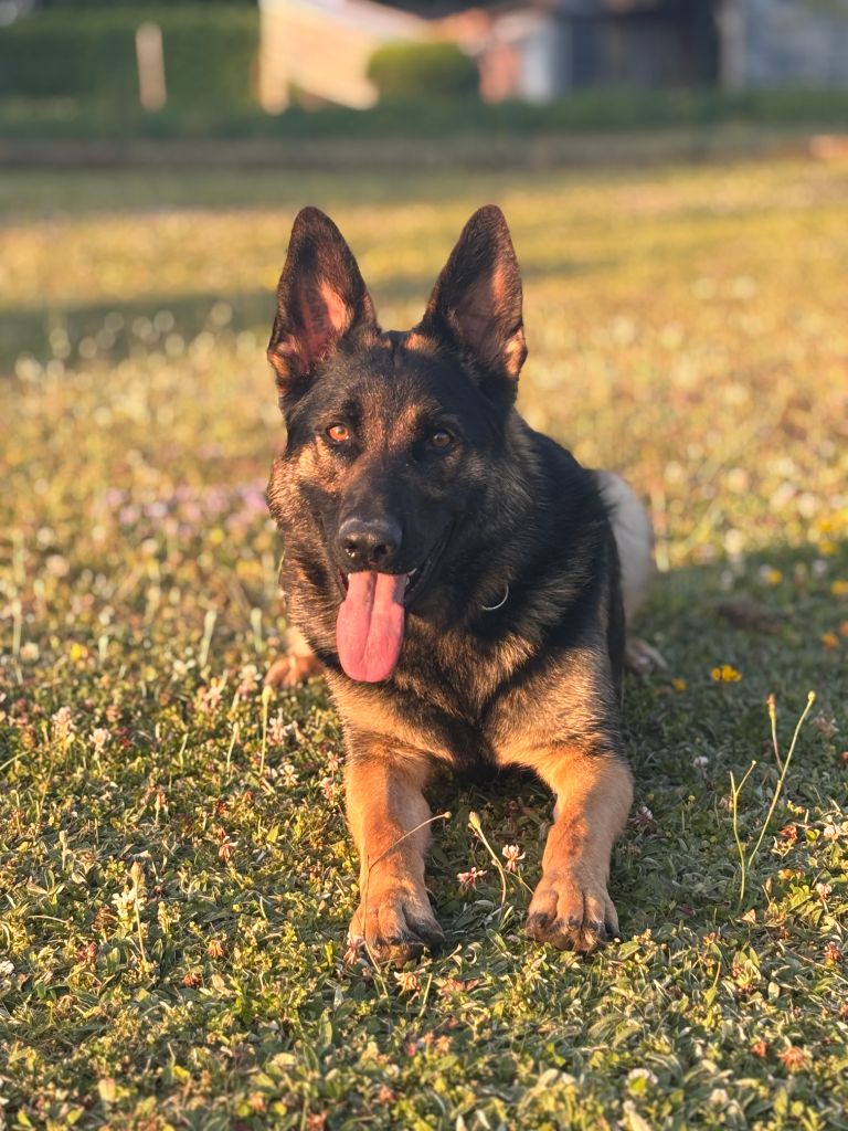 Ushka Des Crocs De Heurtevent