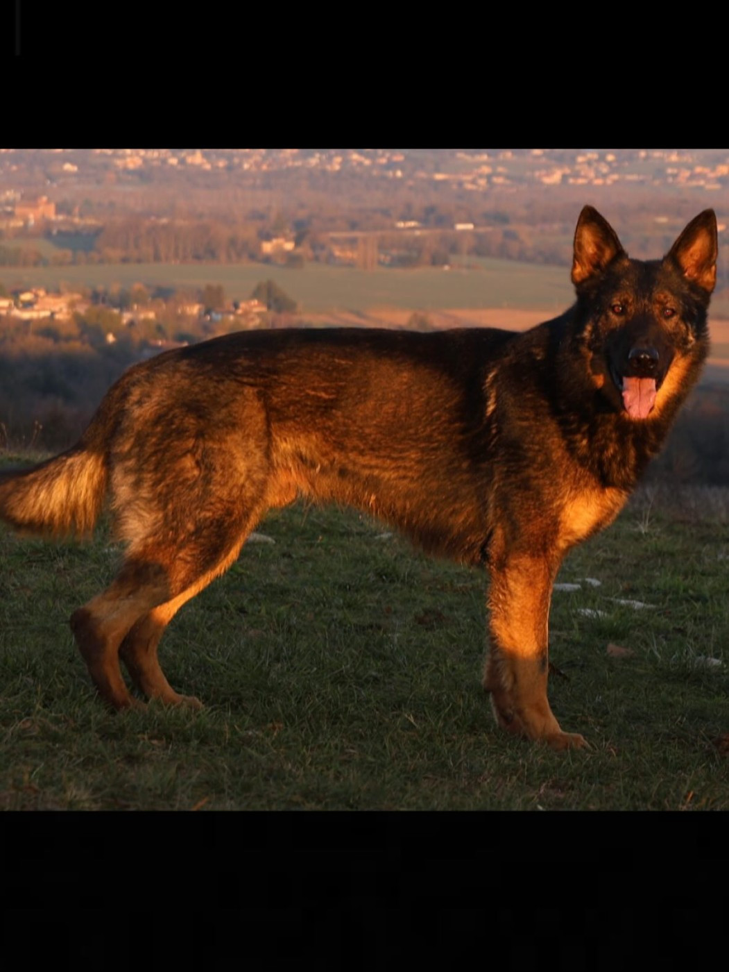 storm des orckis de l'adret